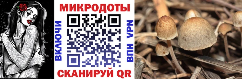Галлюциногенные грибы прущие грибы  закладка  Малмыж 